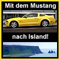 Islandmustang