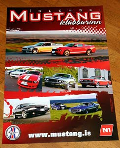 20100613_stangposter