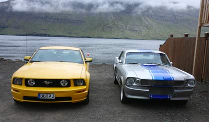 20100622_stangs